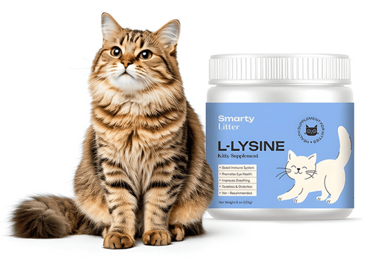 L-Lysine Supplement